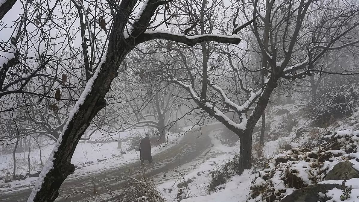 Snowfall in Srinagar