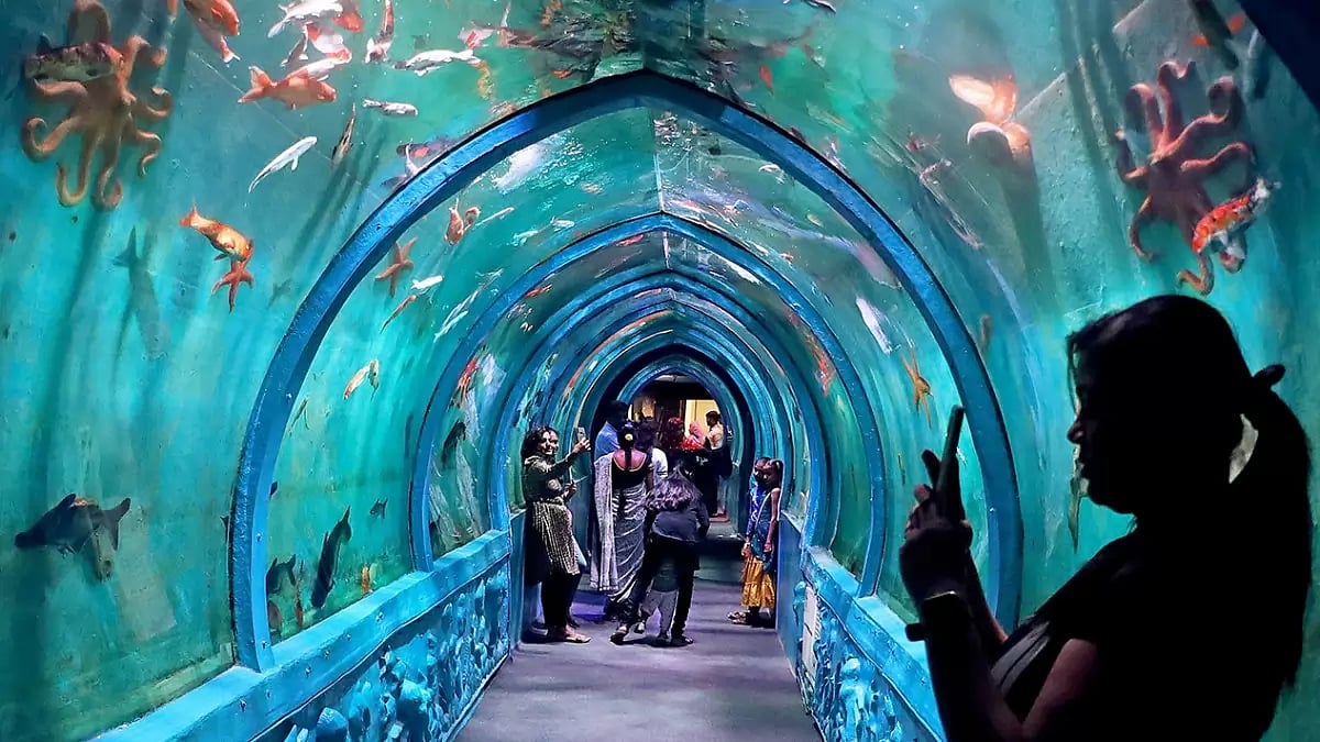 Sea Tunnel Aquarium show
