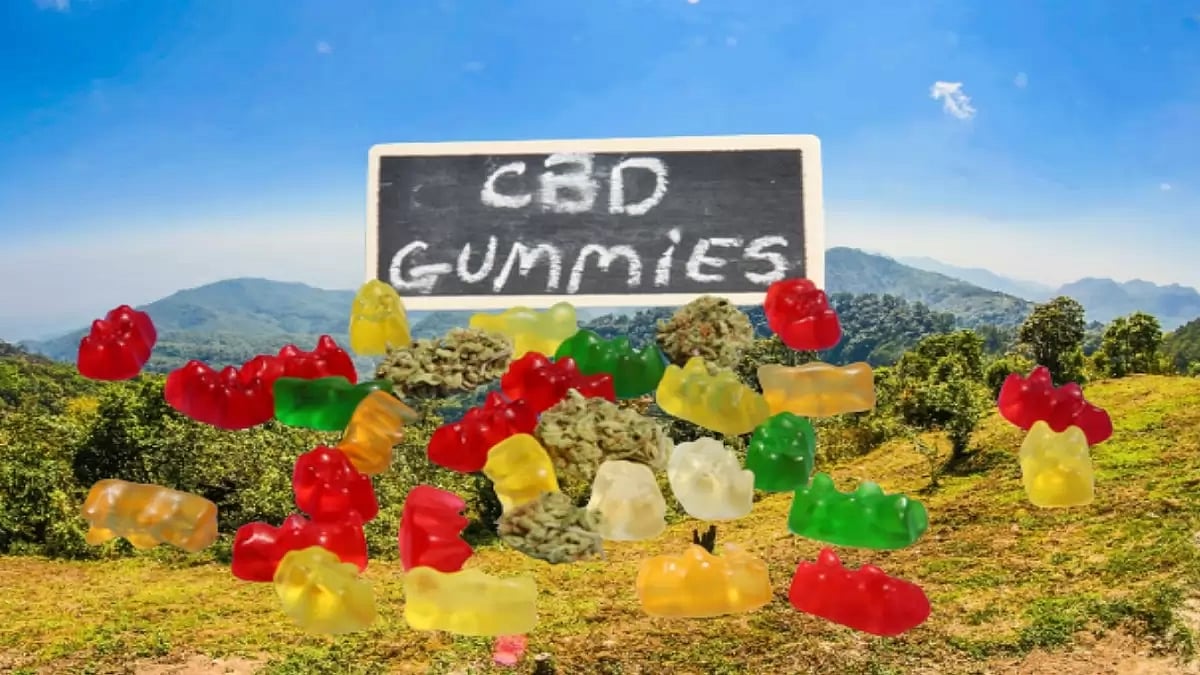 Rejuvenate CBD Gummies