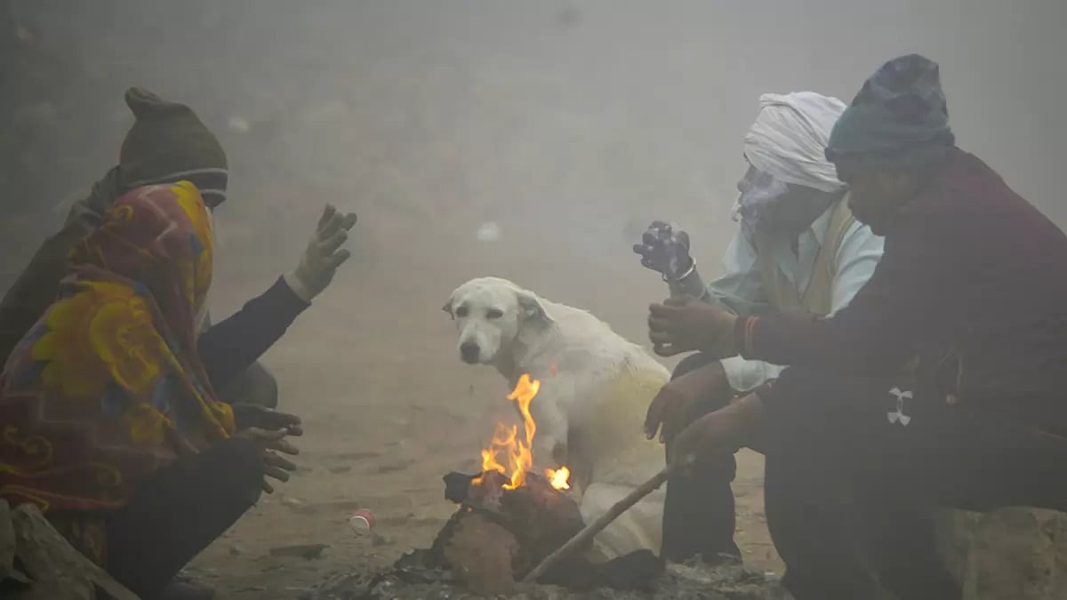 Light Rain, Foggy Weather Predicted For Delhi