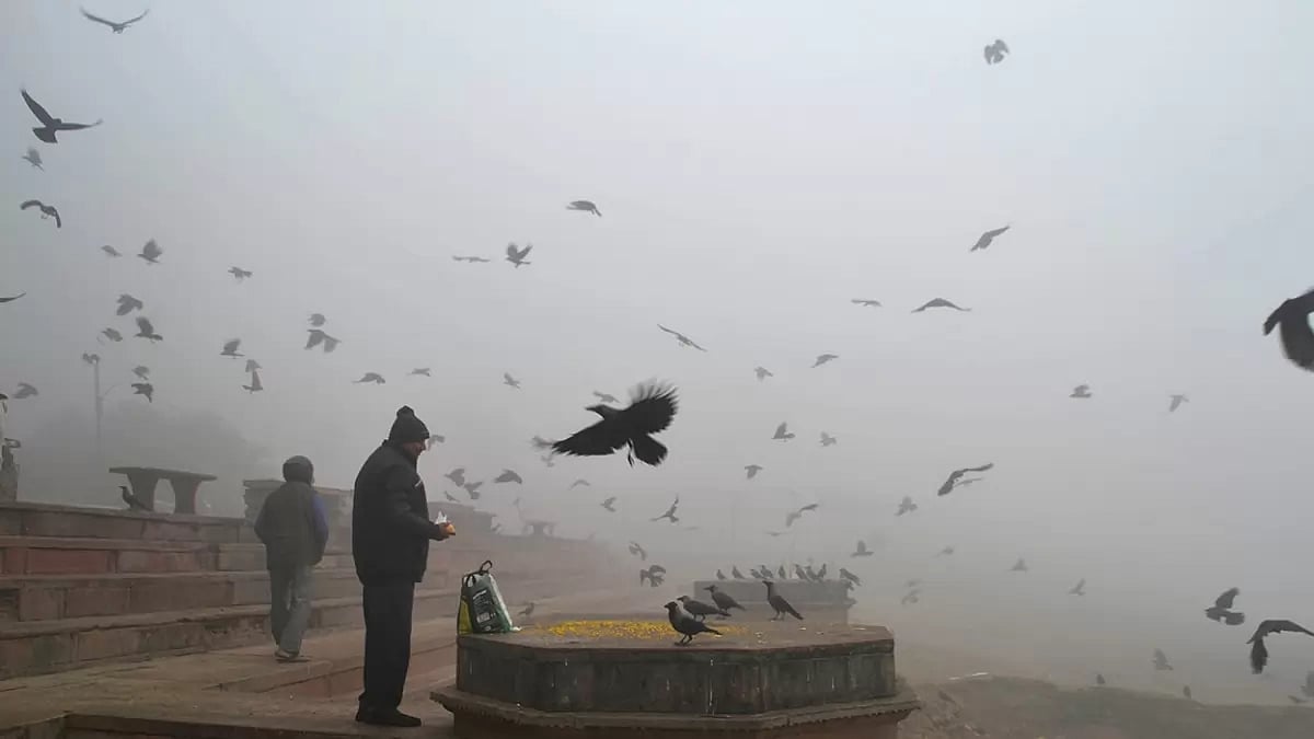 Fog in Agra
