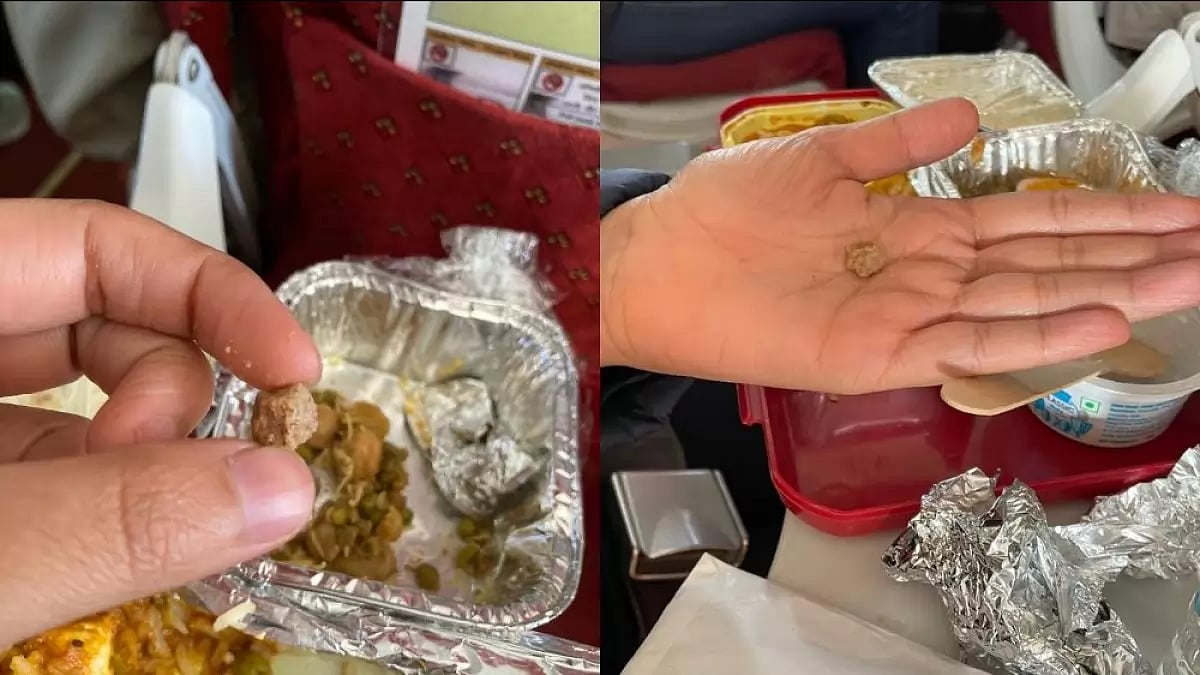Stone found in Air India's meal.