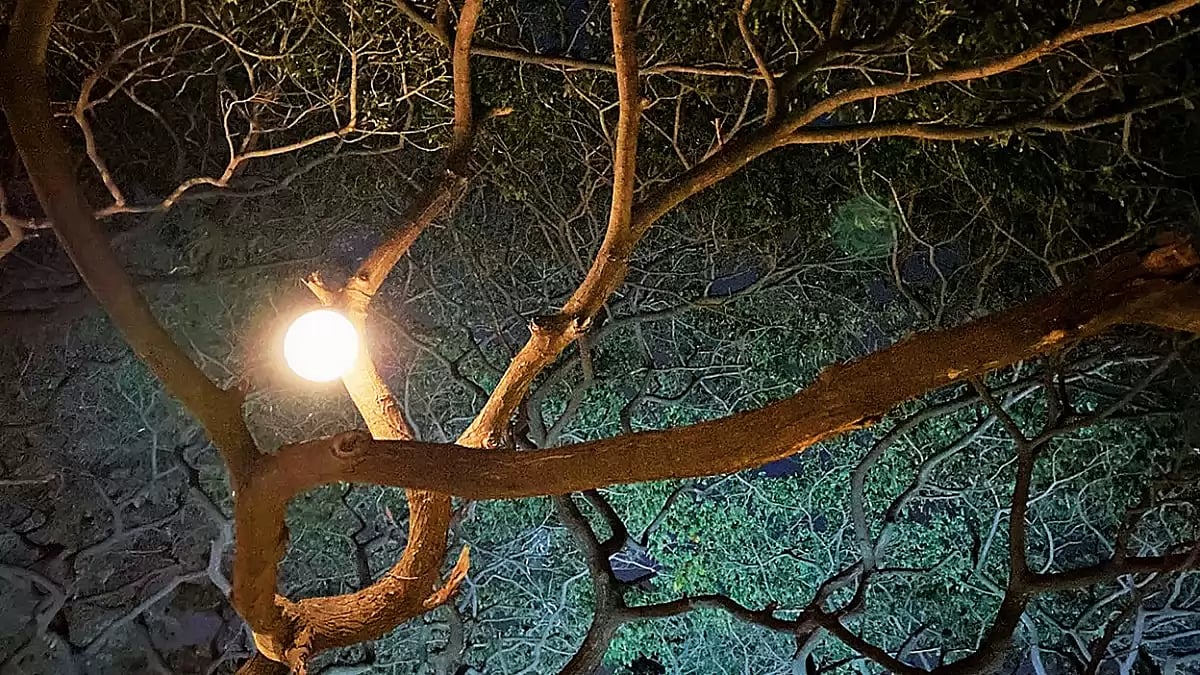 Solitude: The Searing Tranquillity Of Solitude Is A Constant Companion