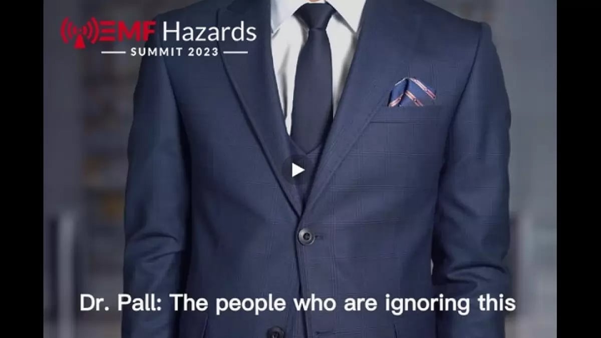 EMF Hazards Summit 2023