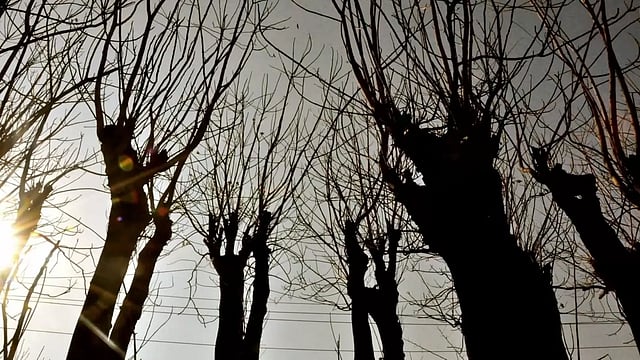 Politics Of Resilience: Even In Dust, ‘They’ Will Rise