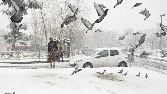 Thick Layer Of Snow Blankets Iran