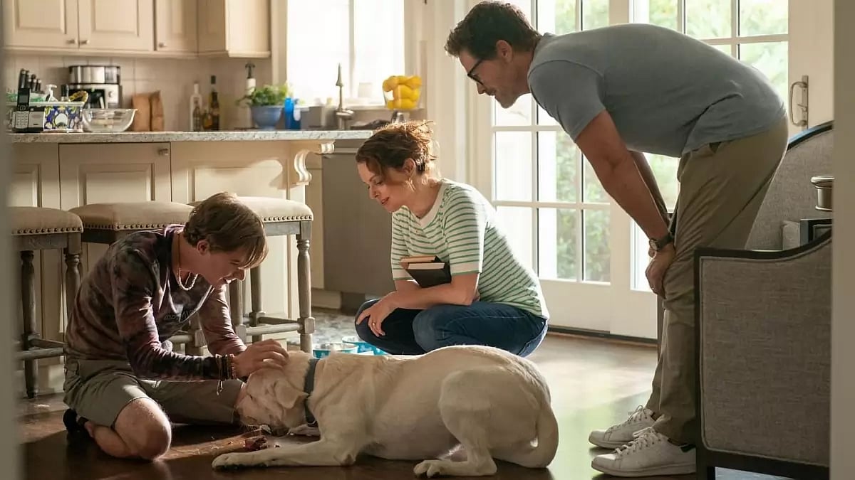 A Still From 'Dog Gone'