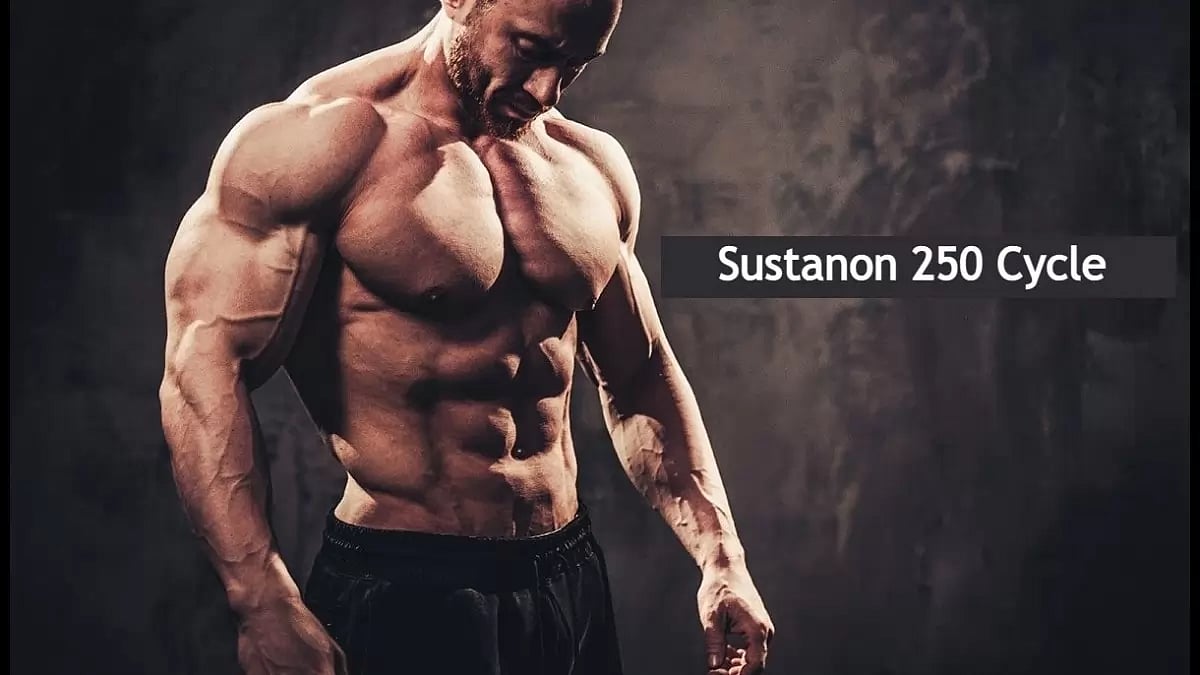 Sustanon 250 Cycle