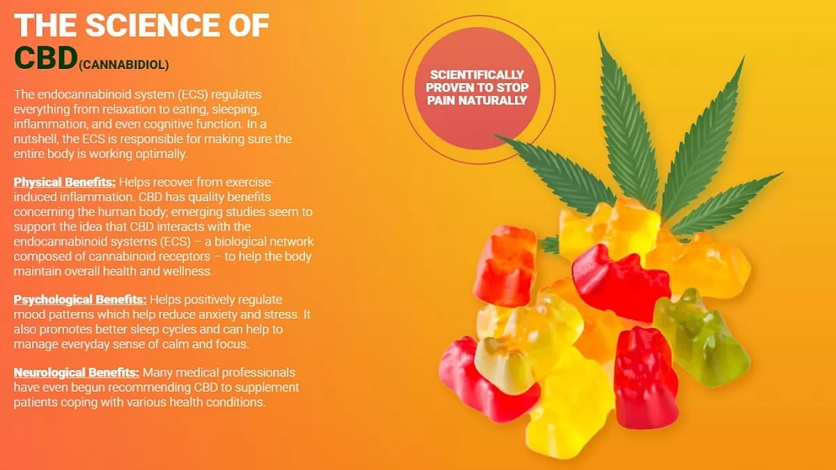 Rejuvenate CBD Gummies