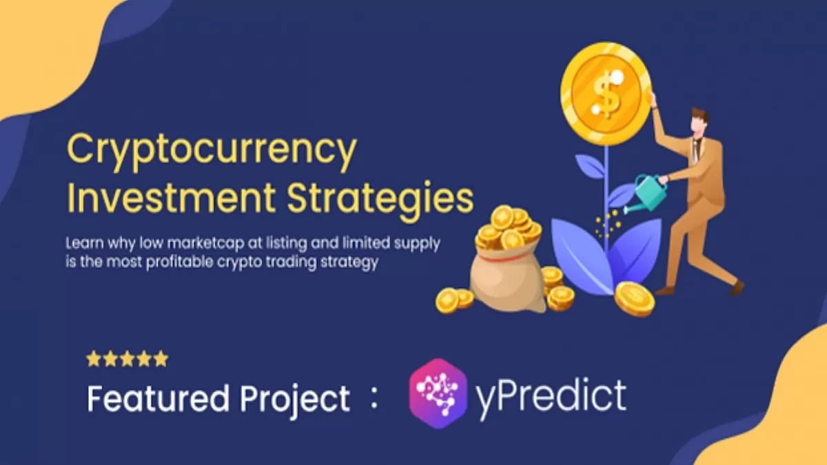 Crypto Investing Strategies