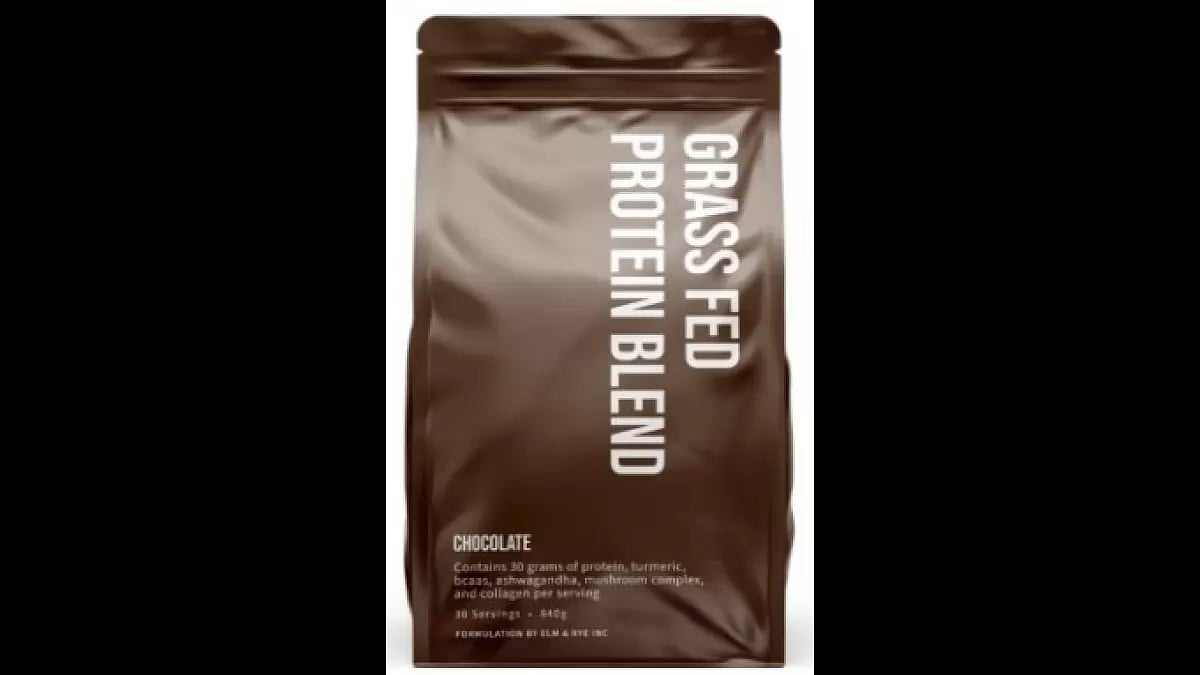 Best Tasting Plant Based Protein Powders