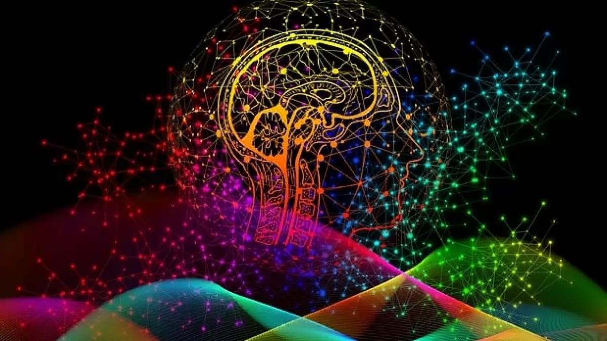 Focus Factor Reviews