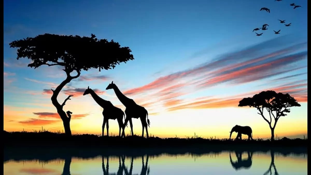 South African Tourism 