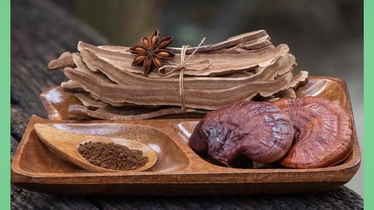 Best Mushroom Supplements Reviewed