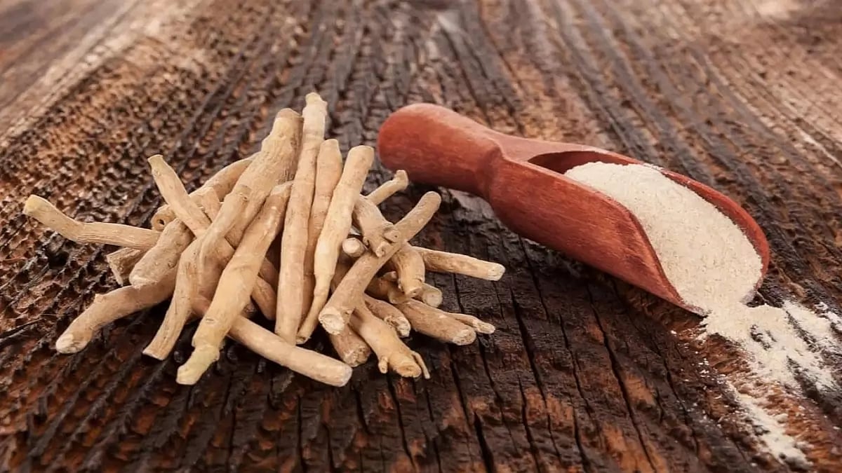 Best Ashwagandha Supplements