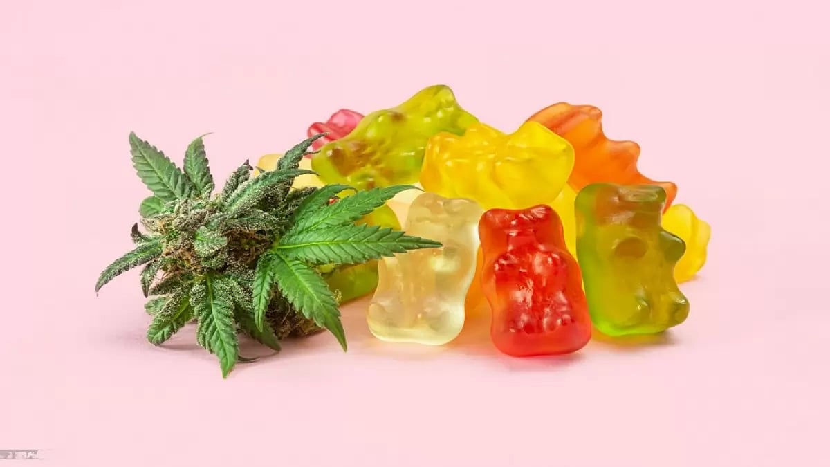 Best CBD Gummies