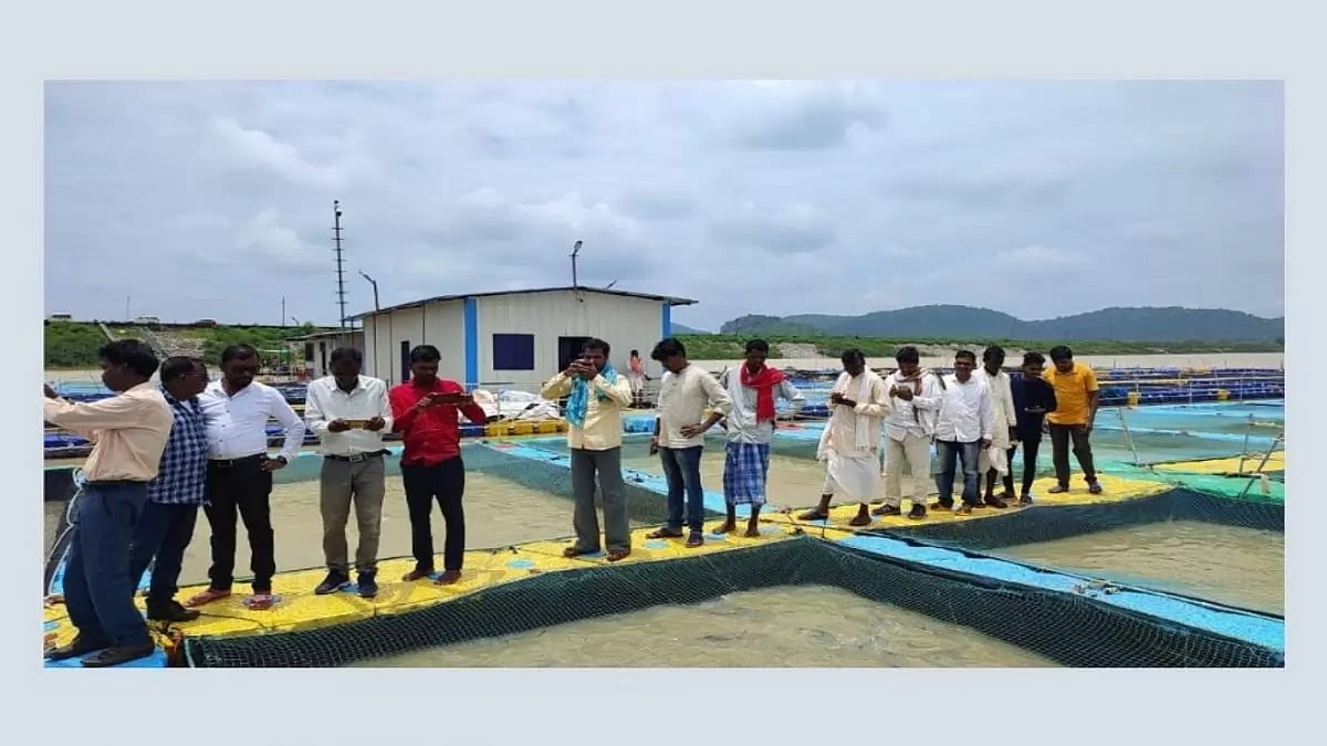 Pisciculture To Hit New Heights In Bastar