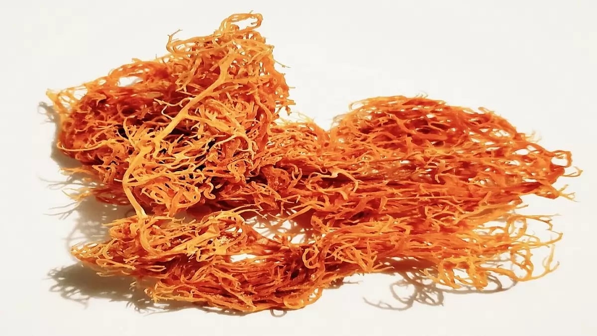 Best Irish Sea Moss Supplements