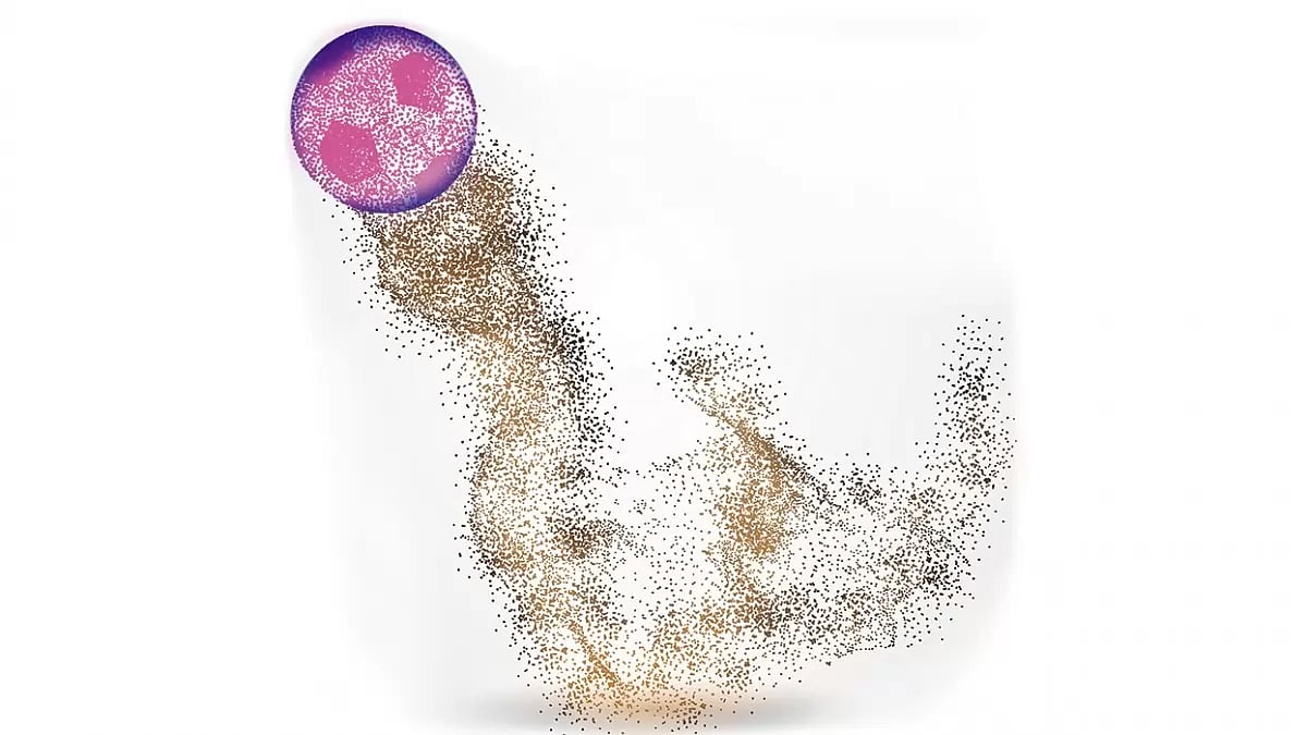 Sporting Spirit Of Adivasi Women