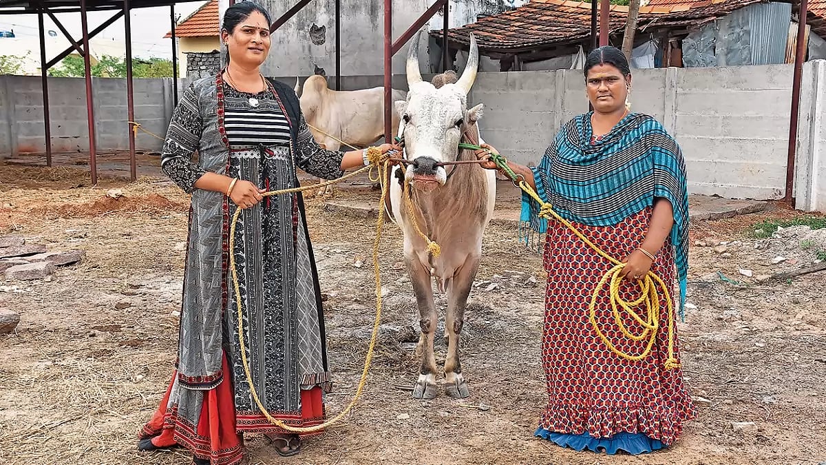 How Queer People Are Making Their Presence Felt In The Sports World