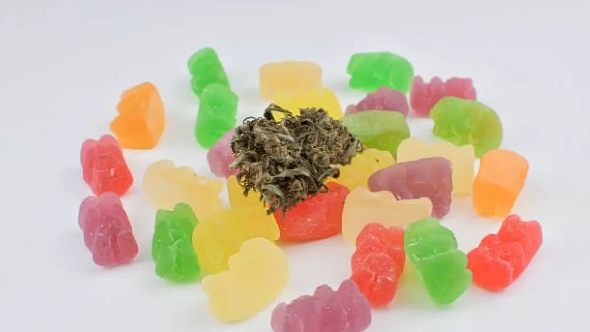 Best THC Gummies 