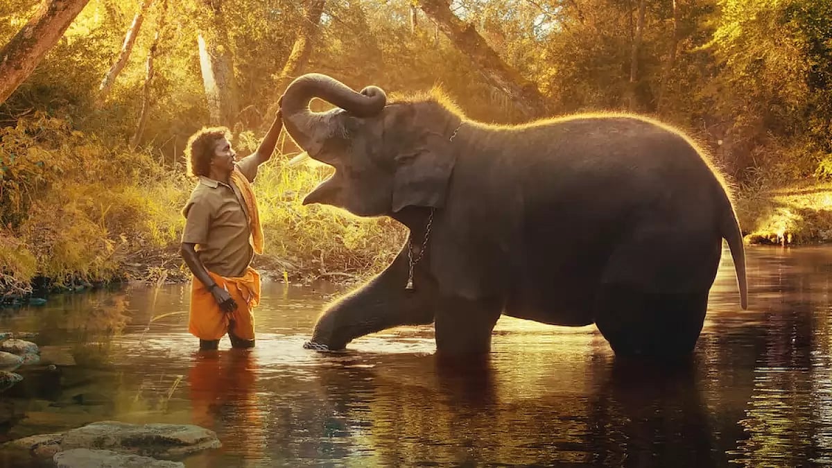 A Still From The Elephant Whisperers