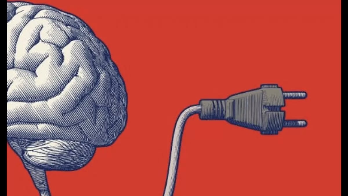 Best Nootropics 2023