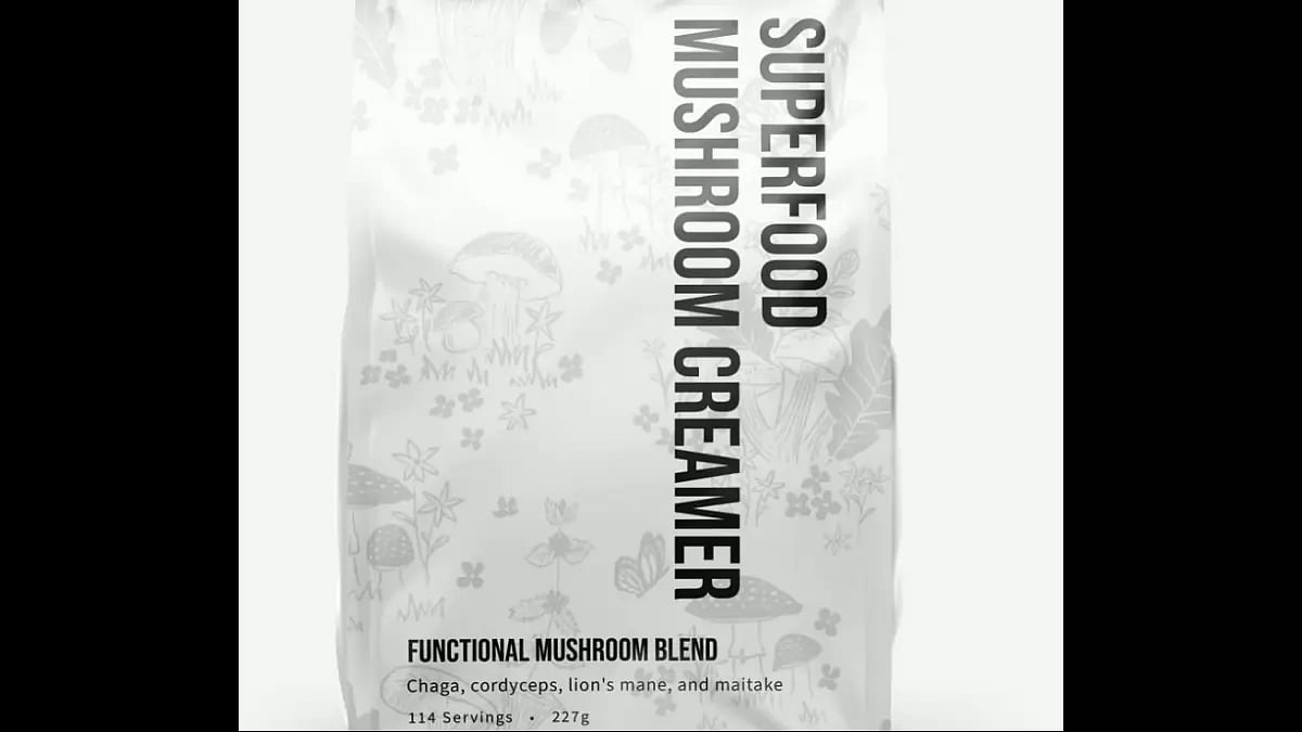  Best Reishi Mushroom Coffees