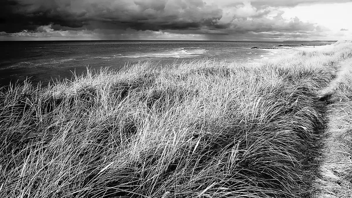 Book Review: Tabish Khair’s New Book Cannot Be Boxed Into A Genre