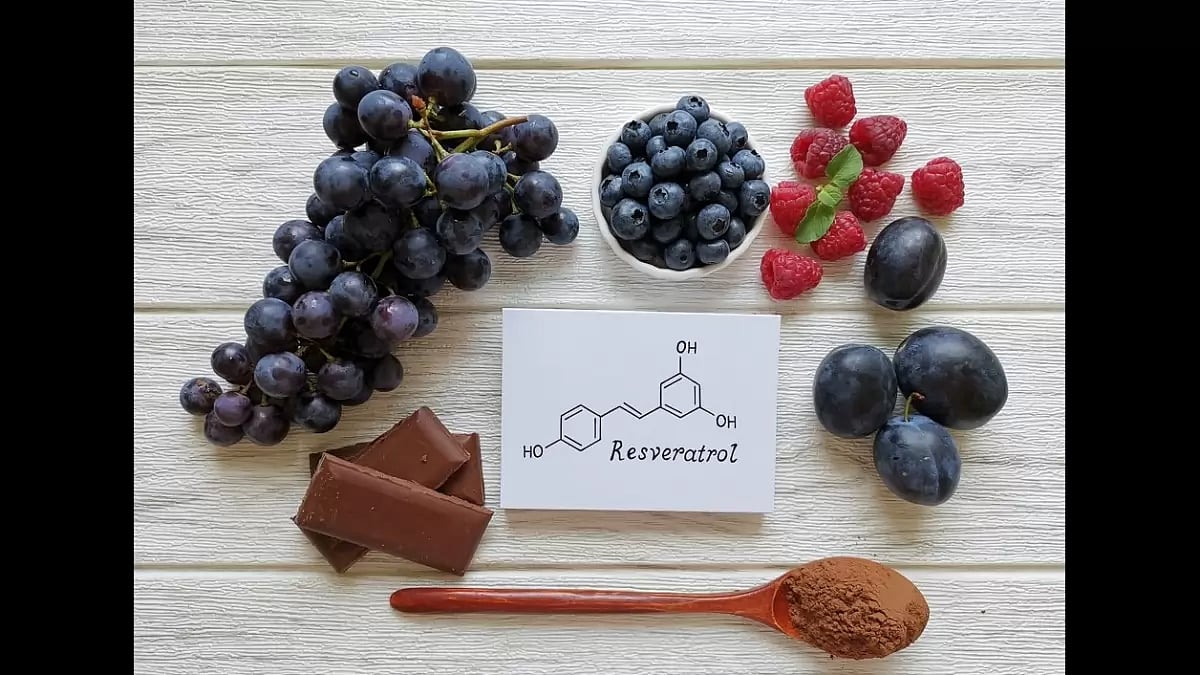 Best Resveratrol Supplements