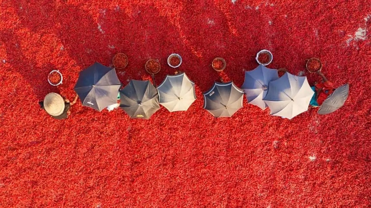 Foreword To Bangladesh: A Literary Journey through 50 Short Stories