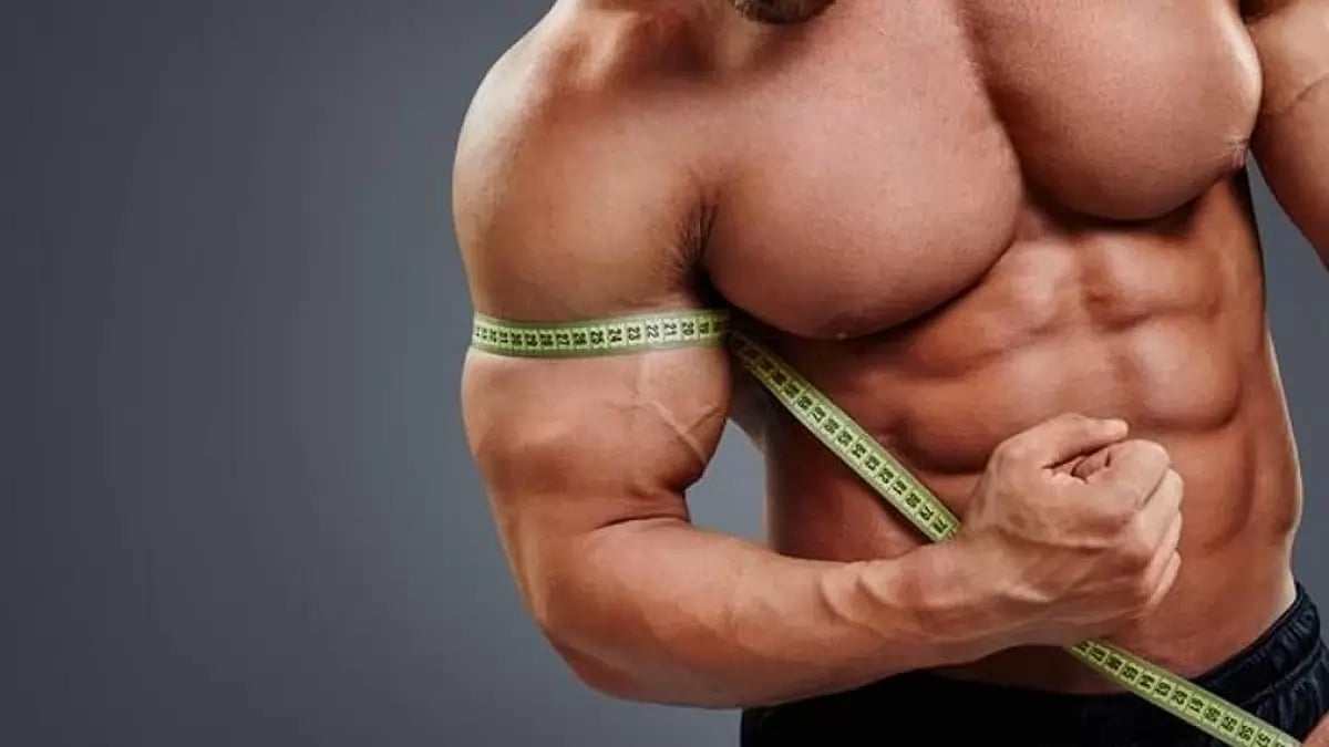 5 Best Legal Supplements