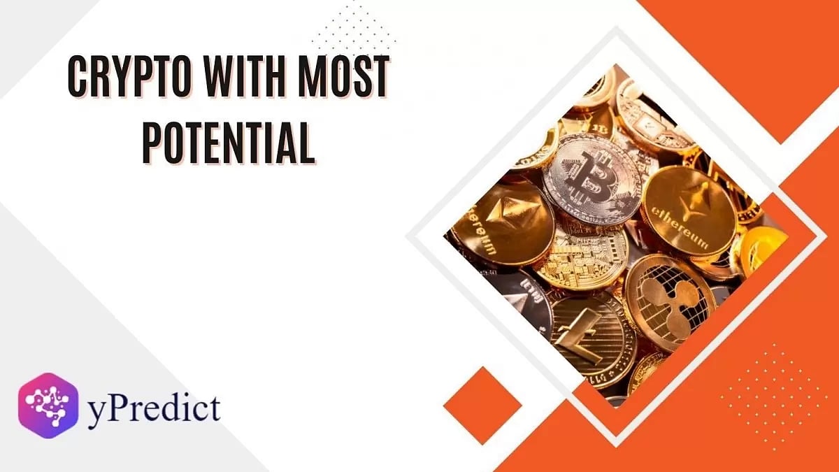 Crypto With Most Potential