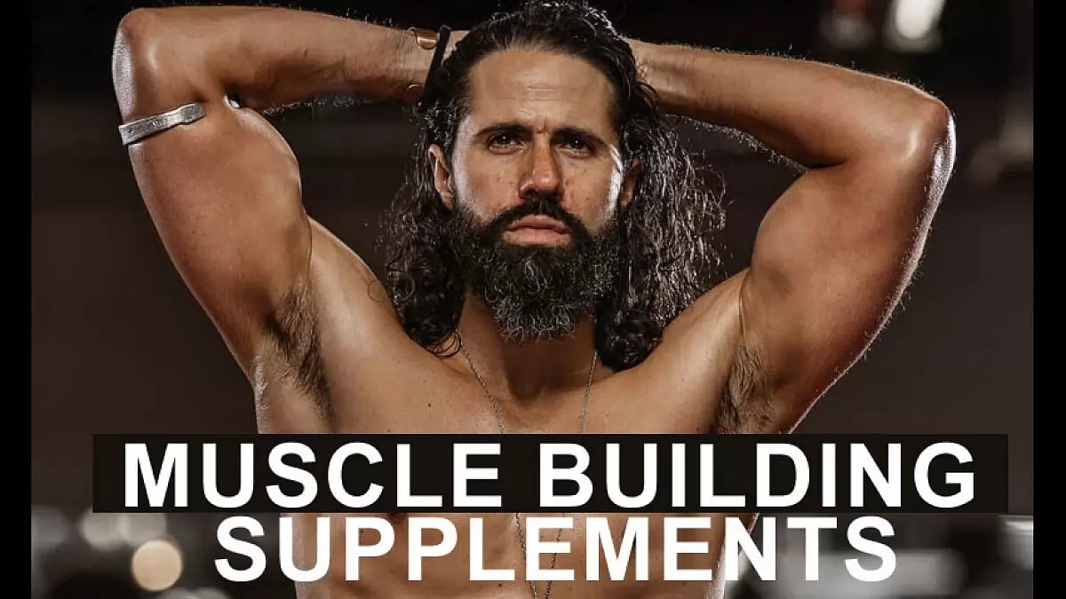 Best Muscle Building Supplements