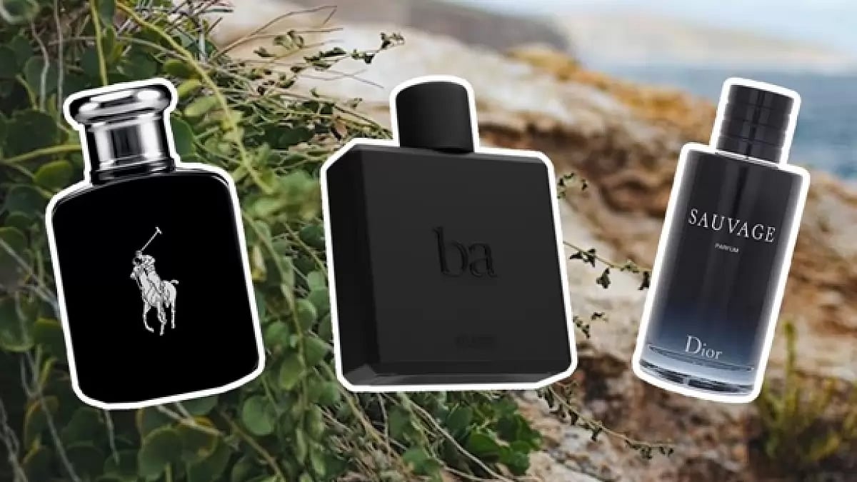  Best Perfumes for Men