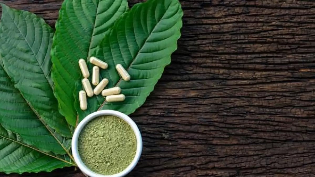 Best White Maeng Da Kratom 