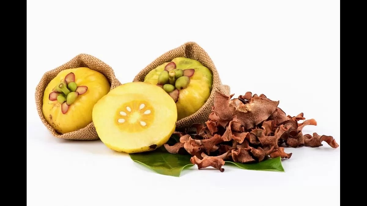 Best Garcinia Supplements