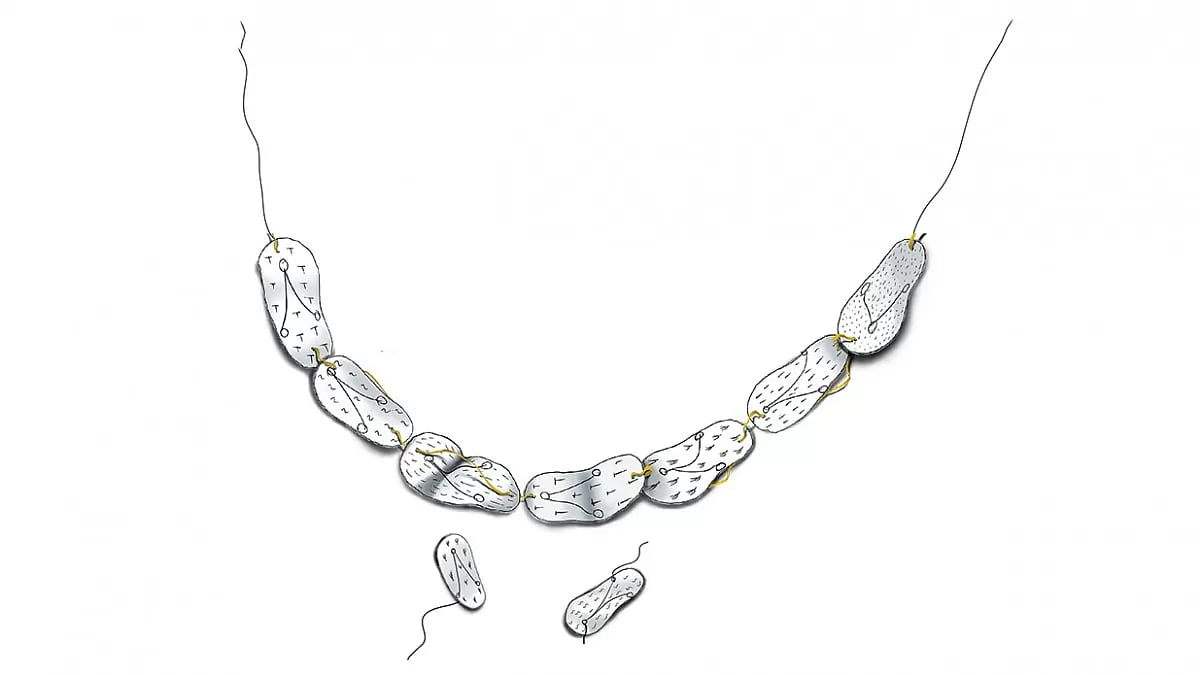 Restoring The 'Garima' Of Women Branded Witches