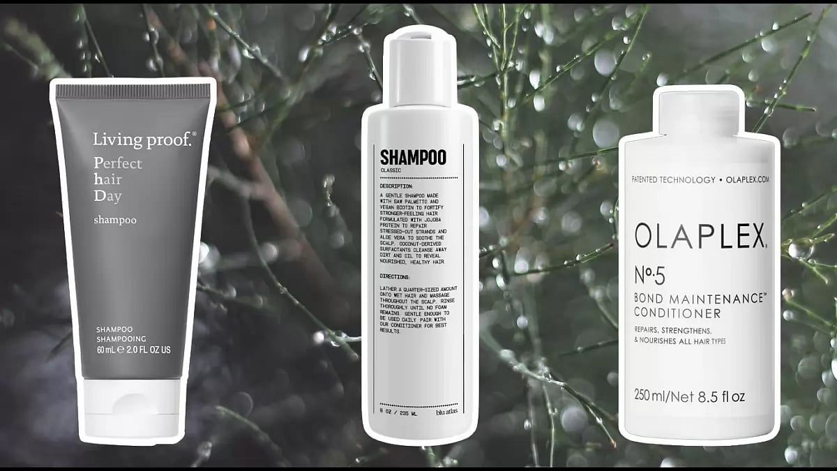 Best Shampoos And Conditioners