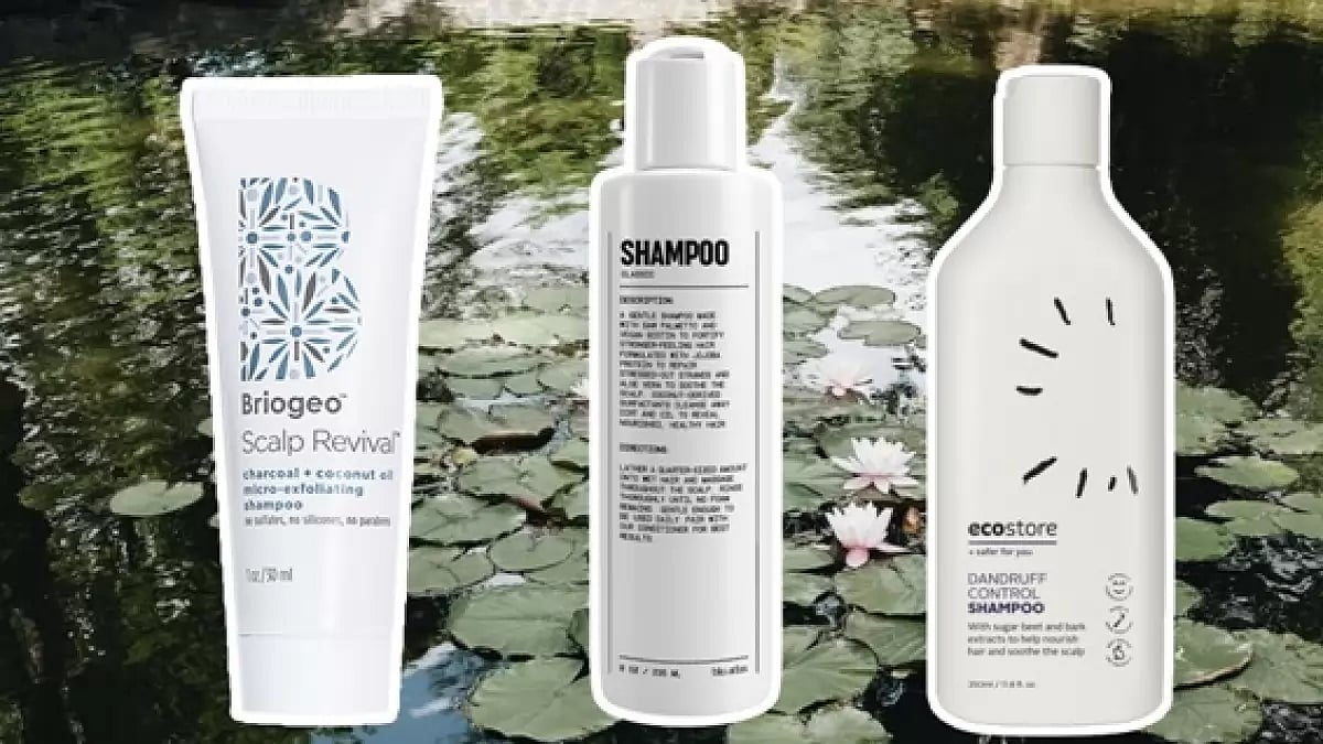 10 Best Shampoos for Itchy 