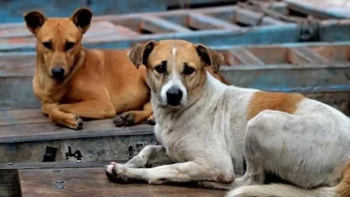 Representational Image