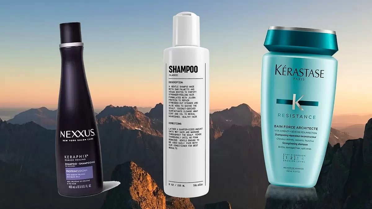 Best Shampoos For Dry Damaged Hair With Split Ends