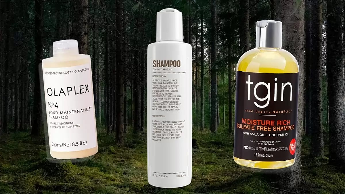 Best Shampoos For Natural Hair