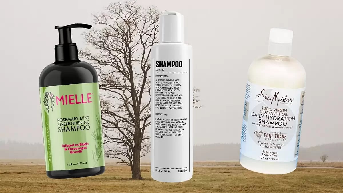 Best Shampoos And Conditioners For Thinning Hair
