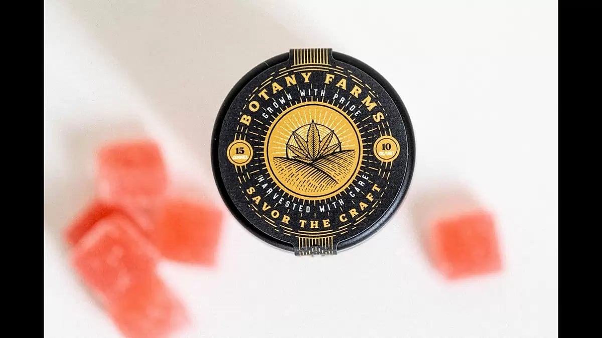 Best Delta 10 Gummies