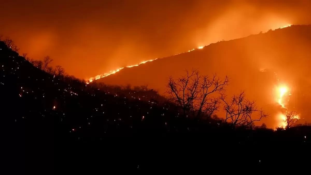 Representational Image