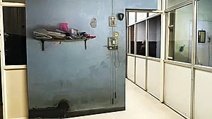 A Shadow of Real World: An Abir Karmakar painting shows middle-class ordering of things