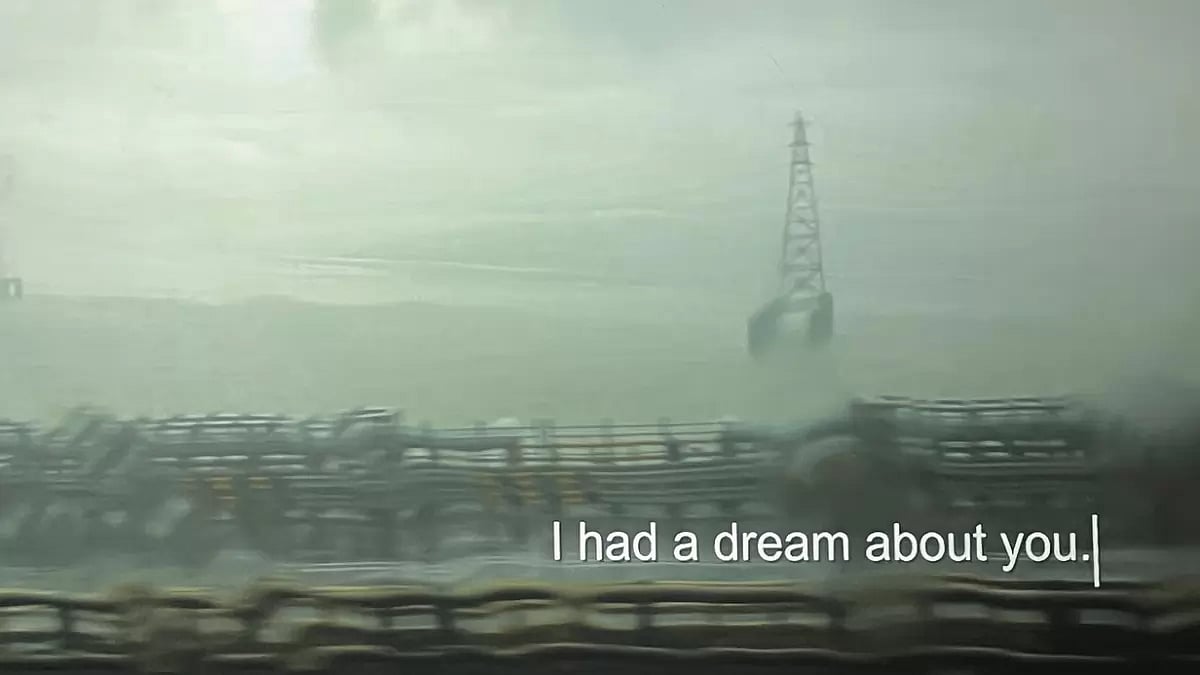 A screengrab from Tanushree Das’ film For You and Me