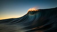 Poems: The Scream And Lemongrass Tea Lingering salt in claustrophobic sea...