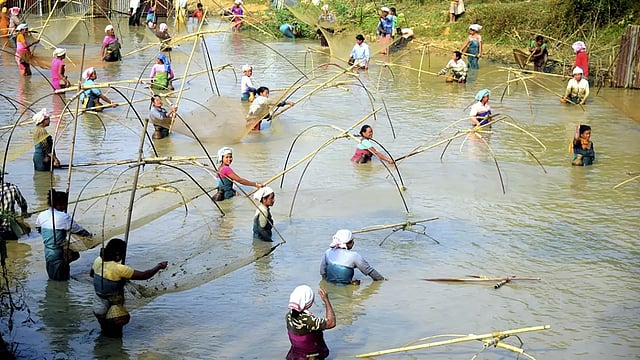 Andhra Pradesh Bans Marine Fishing For Two Months Amid Annual Breeding Season